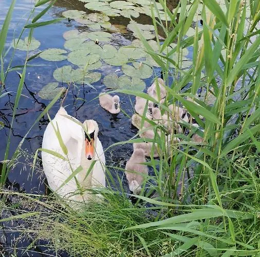 Nad Woda 2 Marzecino