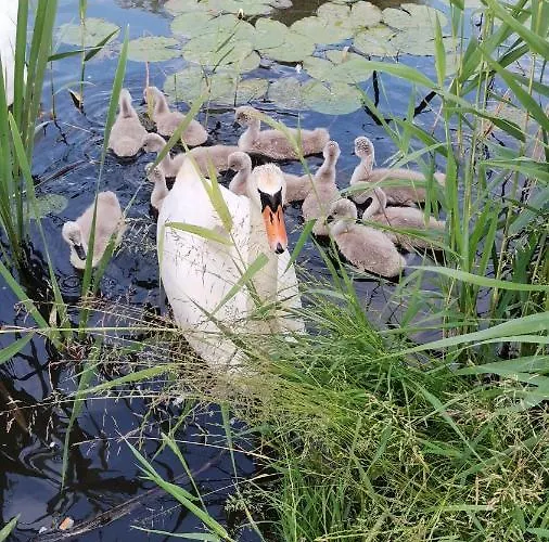 Nad Woda 2 Marzecino