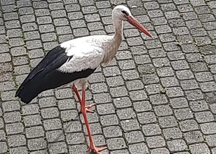 Appartamento Nad Woda 2