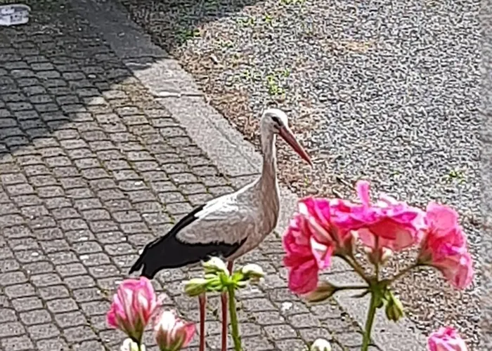 Appartamento Nad Woda 2 *